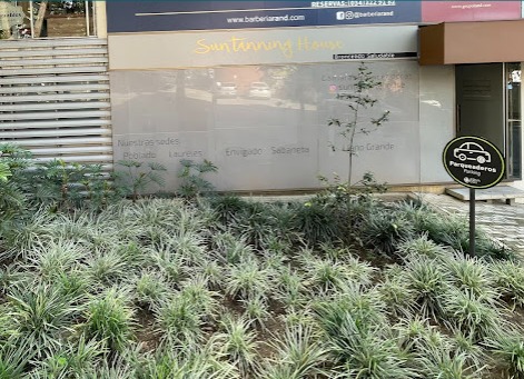 Sede Poblado de Suntanning House